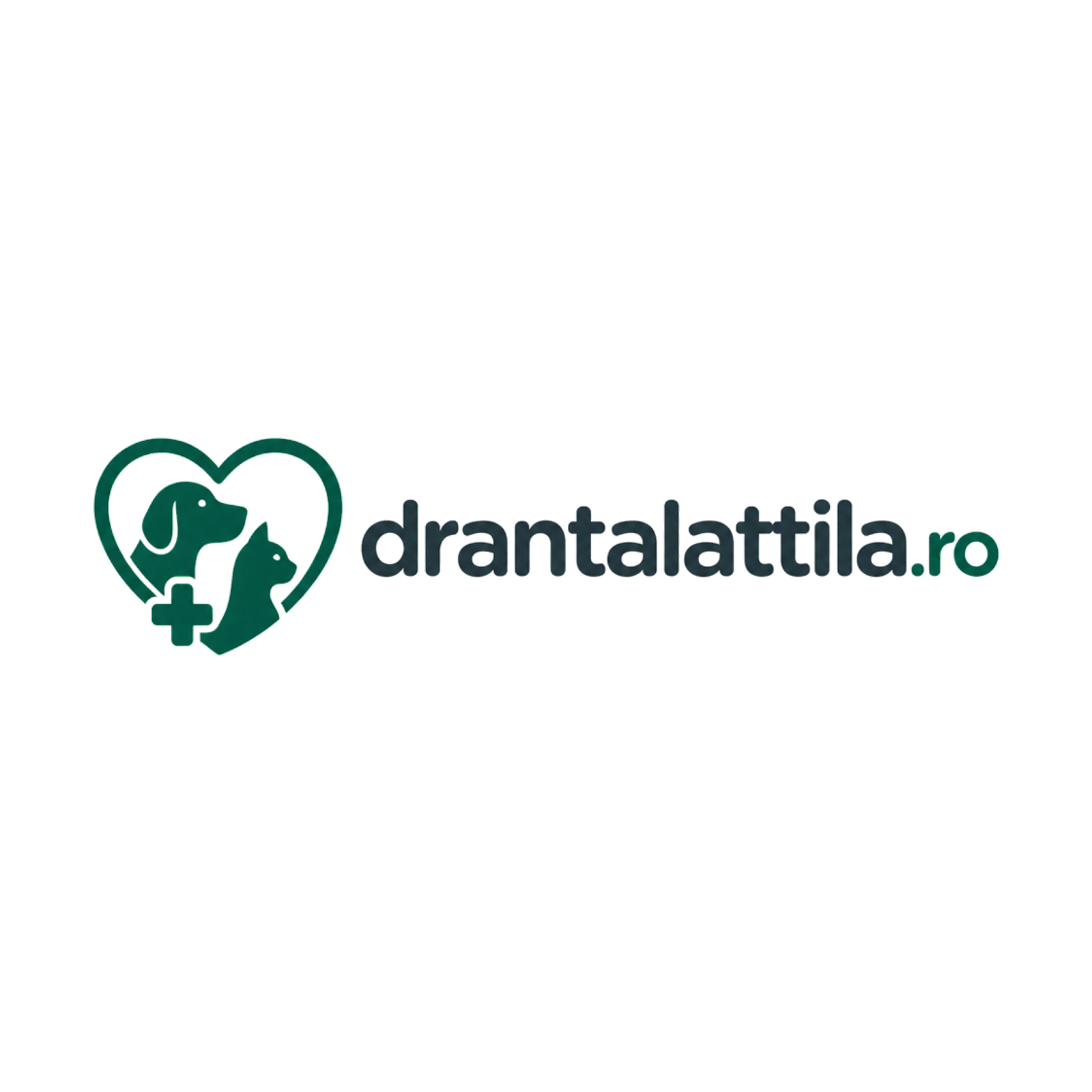 drantalattila.ro